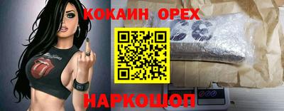 jwh Будённовск